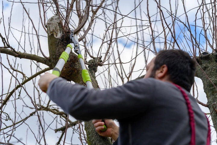 Emergency tree removal crew arriving quickly at a storm-damaged Woodstock home